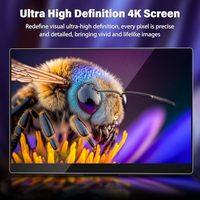 Moniteur OLED Portable 4K 14 pouces haut de gamme 100% 1MS écran UHD pour ordinateur portable PC MAC téléphone commutateur USB-C pour HDMIinterface