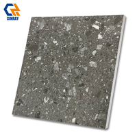 Carrelage Rustique Moderne 600x600mm 9mm d'épaisseur Antidérapant Effet Pierre Texturé Intérieur Résistant aux Acides Antibactérien Bordures Salle de Bain Villa