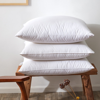 Oreiller en plumes douces de marque propre, écologique, non toxique, confortable, chaleur, design détaillé, noyau d'oreiller pour l'hôtellerie, en paire