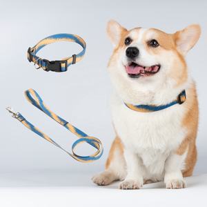 Aangepaste waterdichte afneembare hondenhalsband met printontwerp, polyester webbing riem voor hondenuitlaten - Product Image 5