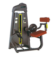 Équipement de musculation professionnel pour salle de sport, équipement de musculation, machine d'extension dorsale