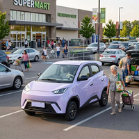 ESUN Voiture Électrique Haut de Gamme Nouvelle Énergie 2026 pour Seniors, 4 Portes 5 Places, EV 60V 2000-3000W, Caméra de Recul, Fabriquée en Chine