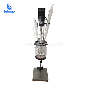 Mini reactor de vidrio estándar de doble camisa con acero inoxidable 304 - Product Image 4