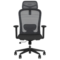 Chaise de bureau ergonomique en maille avec accoudoirs réglables - Design moderne pour le bureau à domicile