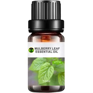 Skin lightening Morus alba extract liquid,10mL Chinese traditional Herbal Oil, White Mulberry leaf ( Sang Ye) Essential Oil OEM