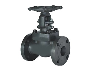 Válvula de Compuerta Manual de Acero al Carbono de 1/2 Pulgada de la Mejor Calidad con Cuerpo A105 para la Industria del Petróleo y Gas, Compatible con OEM y ODM - Product Image 1