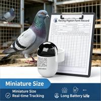 Mini traceur GPS en temps réel pour oiseaux, étanche, avec anneau, réseau 4G GSM, localisateur de trajectoire Android/iOS, en plastique, LBS