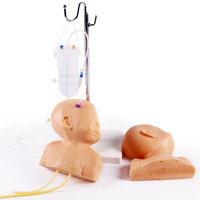 Tête de mannequin de simulation IV pédiatrique YL-307 pour la pratique et la formation en perfusion intraveineuse et en prélèvement sanguin, avec compétences en ponction veineuse et injection, certifiée CE/ISO