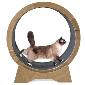 Cat Toys Circle Track Household Interactive Pet Tread Exercise Indoor Cats Treadmill Cat Running Wheel