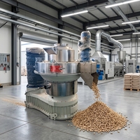 Machine à granulés à matrice annulaire CE en acier inoxydable, compacte et verticale, pour branches de bois, sciure, biomasse, coques de riz, herbe