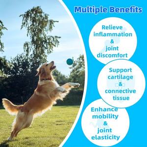 Оптовая цена. Средство для развития хрящей. Добавка для суставов собак. Порошок для тазобедренных суставов собак с МСМ. Здоровье и добавки для животных. - Product Image 2