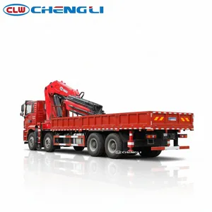 Camion grue SHACMAN 8x4 de 25 tonnes, camion grue lourd avec benne basculante pour la logistique de construction - Product Image 5