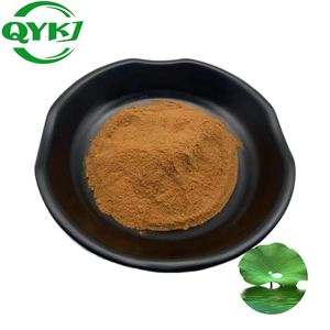 Премиальный порошок листьев лотоса, органический экстракт листьев лотоса (2%-4%), алкалоиды листьев лотоса, натуральный экстракт листьев лотоса. - Product Image 3