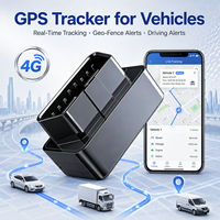 Rastreador Vehicular 4G LTE Impermeable con GPS en Tiempo Real, Posicionamiento Wi-Fi Beidou para Seguridad de Activos y 1 Año de Garantía