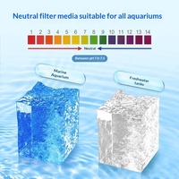 Sphère creuse en quartz pour filtre d'aquarium, support pour bactéries nitrifiantes, sac en filet pour culture de biofilm inclus, matériau de filtration