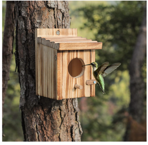Luxury Solid Pattern Wooden <strong>Bird</strong> <strong>House</strong> and Nest for Patio Decoration and Aviary Feeder - Product Image 2