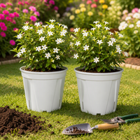Pot de fleurs contemporain en PP, mignon, avec trou de drainage, léger et durable, pour usage intérieur/extérieur