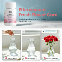 Comprimés de conservation pour fleurs coupées, pour bouquets de fleurs fraîches, présentoirs floraux, fleuristes et professionnels de la fleuristerie