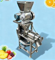 Tropische fruitverwerkingsmachine voor mango- en ananasvruchtensap, geschikt voor rauwe mango- en ananasvruchten.