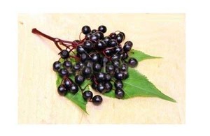 Cơm cháy trái cây Chiết Xuất 25% anthocyanin <span class=keywords><strong>Sambucus</strong></span> <span class=keywords><strong>nigra</strong></span> chiết xuất - Product Image 6