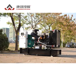 40KVA 50KVA Arranque eléctrico 50HZ 60HZ Generador diesel de Marco abierto refrigerado por agua