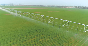 Machine d'irrigation par pivot central à <span class=keywords><strong>grande</strong></span> échelle, équipement d'irrigation à couverture complète de type pointeur pour toute <span class=keywords><strong>la</strong></span> surface agricole - Product Image 5