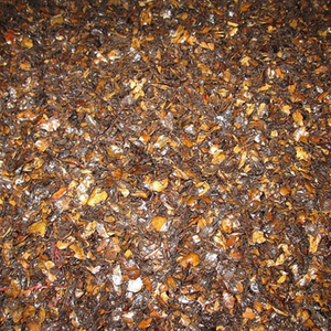 เศษเปลือกเม็ดมะม่วงหิมพานต์เวียดนามราคาถูก ความชื้นไม่เกิน 12% สำหรับการเผาไหม้ - Product Image 1