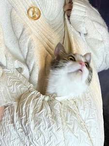 Kedi/köpek taşıyıcı küçük orta kediler için yavru 15 Lbs kadar rahat konfor taşıyıcı beyaz kedi çantası evcil hayvan taşıyıcı bakım için - Product Image 5