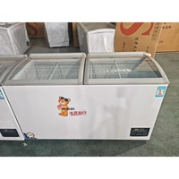 Congélateur de présentation solaire à température unique pour supermarché avec porte vitrée pour le stockage de la crème glacée