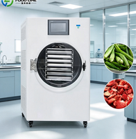 Commerciële mini-vriesdroogmachine voor de productie van jackfruit- en appelchips. Kleine vriesdroogmachine.