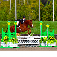 Clôture portative de saut d'exposition d'obstacle de cheval avec la forme différente