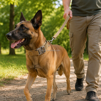 Collier tactique pour chien à dégagement rapide, boucle en métal style Cobra, poignée rembourrée robuste, anneau en D en nylon, réglable pour l'entraînement en extérieur