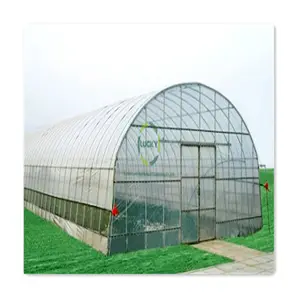 Intelligent Film Digital Temperature Control System Automation System Single Span Green House For Tomato Farm