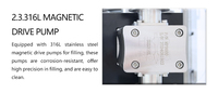 Machine de remplissage et de bouchage entièrement automatique à double tête pour sachets à bec verseur, machine d'emballage pour boissons, lait, jus, détergent