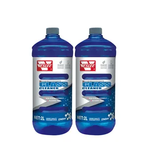 Oem Service Huishoudelijke Auto 'S Anti-Water Nevel Raam Glasreiniger Spray