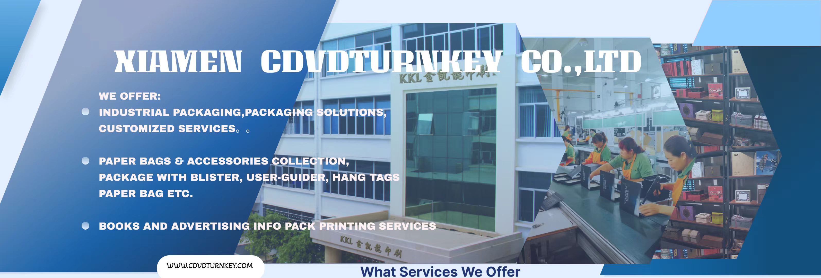 Xiamen Cdvd Turnkey Company Limited logo