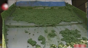 Pequeña embarcación eléctrica para limpieza de aguas, eliminación de algas y maleza en ríos urbanos y canales estrechos, 1 año de garantía, productividad de 25000 L/hora - Product Image 4