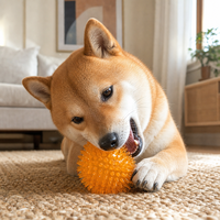 Balle à mâcher interactive pour chien TPR Spiky, style classique et moderne, jouet de nettoyage dentaire, 2 tailles disponibles