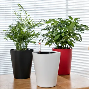 Mini vaso de flores para área interna, vaso de plantas bonsai fofo decorativo para peneira e plástico