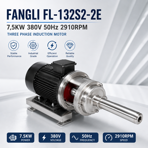 Moteur à induction triphasé FANGLI FL-132S2-2E 7,5KW 380V 50Hz 2910RPM IP55 pour pompe centrifuge industrielle - Product Image 2