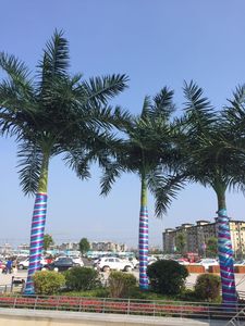 Árbol falso grande para <span class=keywords><strong>interior</strong></span> y exterior, plantas artificiales de palmera de <span class=keywords><strong>coco</strong></span> que parecen árboles reales - Product Image 6