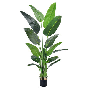 High Quality <strong>Artificial</strong> Green Plant Silk Bird Of Paradise Loose Tail Landing Traveller's-<strong>tree</strong> <strong>Tree</strong> Living Room Decor Planted - Product Image 5