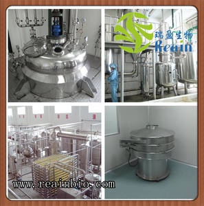 Garcinia Cambogia PE pérdida de peso a base de hierbas naturales verdes HCA 60% polvo de extracto de Garcinia Cambogia - Product Image 4