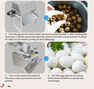 Máquina Peladora de Huevos de Codorniz Automática de Alto Rendimiento, Fabricante de Máquinas Peladoras de Huevos de Gallina - Product Image 5