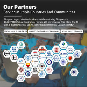 جهاز HIREP HRP-O2 متطور عالي الأداء لقياس الأكسجين، محلل رقمي محمول للغازات القابلة للاشتعال للاستخدامات الصناعية والطبية - Product Image 4