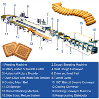 Le biscuit animal de petite capacité d'OCEAN Chine font la ligne de production de biscuit de processus de la machine 50kg de biscuit