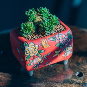 2021 arcilla pintada a mano suculenta <span class=keywords><strong>Cactus</strong></span> bonsái maceta pequeña maceta de jardín OEM - Product Image 4