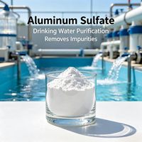 Penghasil Cina Sampel Gratis Filter Serpihan Alum Pemurnian Air Minum