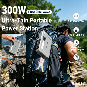 Estación de Energía Portátil Profesional de 300W, Generador Solar de Onda Sinusoidal Pura, para Acampar al Aire Libre, Respaldo de Energía, Gran Oferta, Premium EAD-300EPA - Product Image 2