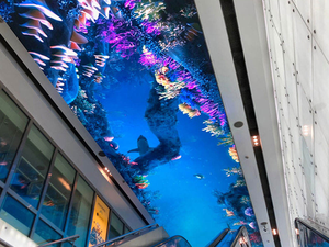 Rgx ODM trần trang trí trong nhà ngoài trời sử dụng p2.5mm p4mm đầy đủ màu sắc plafond overhead Top Trần dẫn Màn hình hiển thị với TUV - Product Image 6